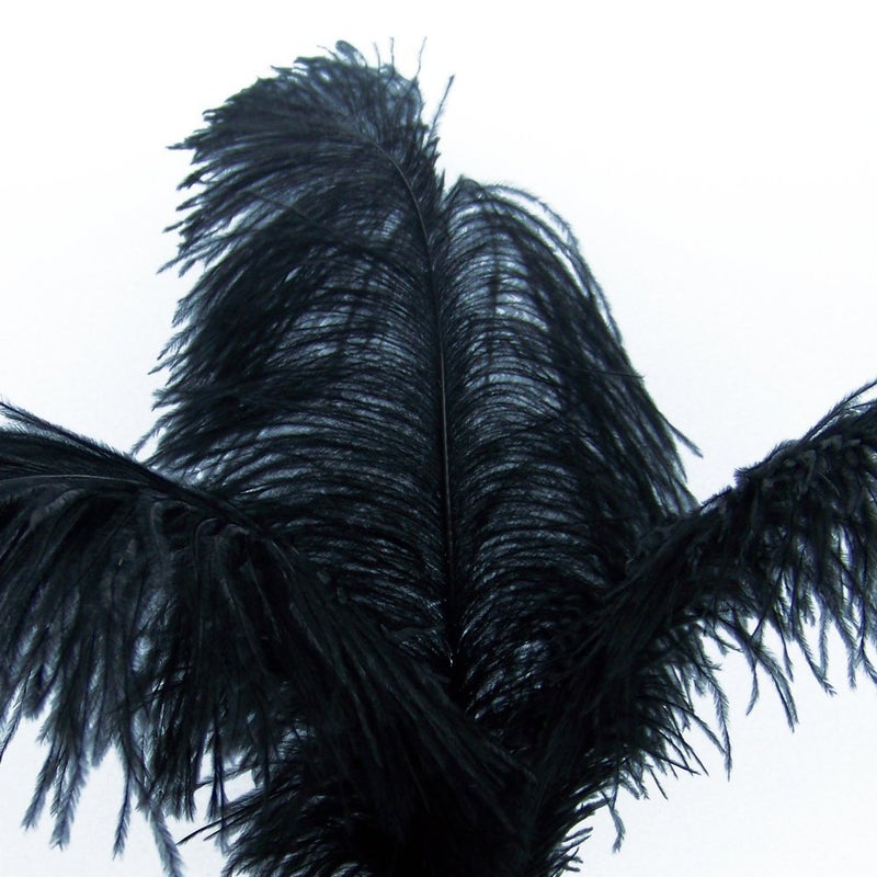 KOLIGHT 40pcs 12''~14''(30~35cm) Natural Ostrich Feathers for DIY Home Wedding Party Office Decoration (Black) - Image 3